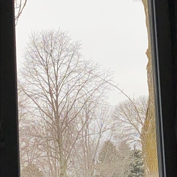 Meet your Posher, Blake - Picture 1 of 1